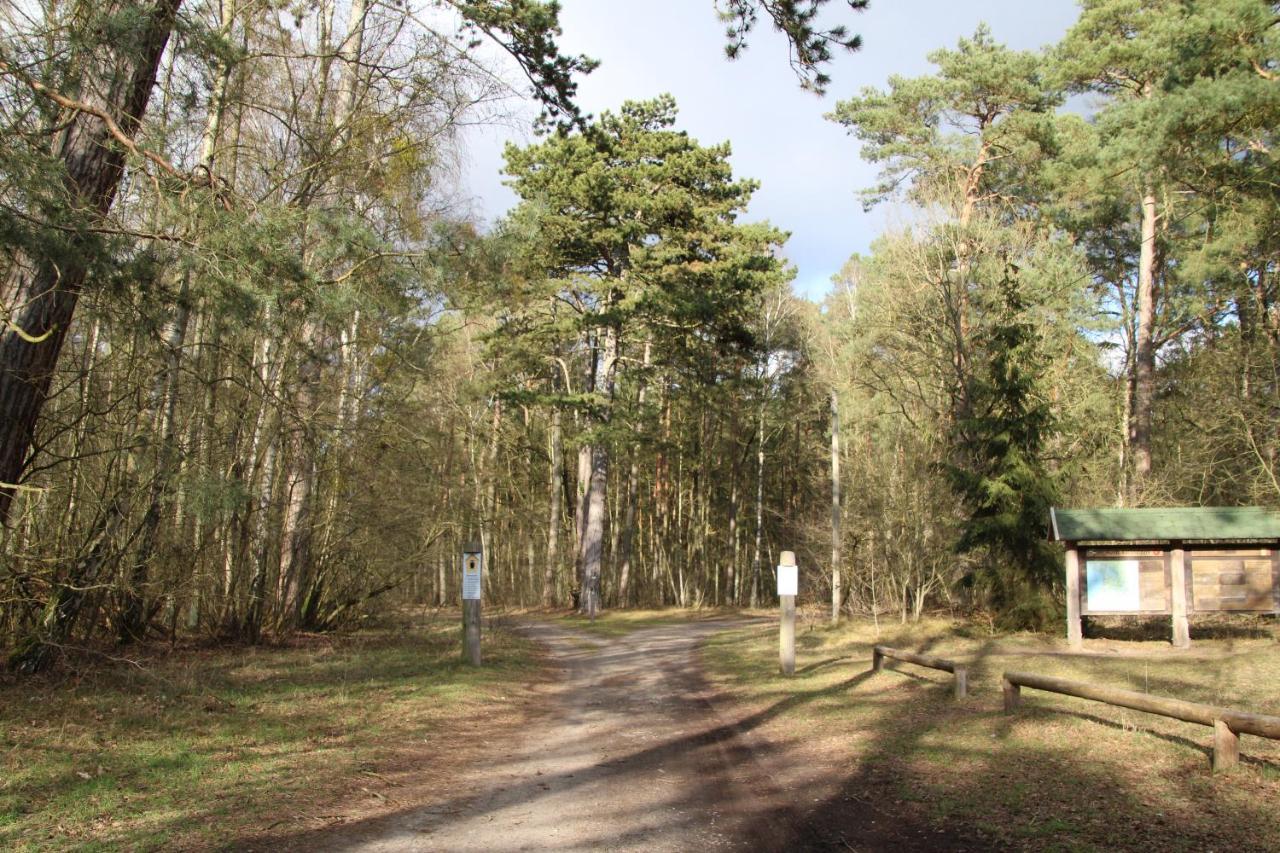 Das Kleine, Gemuetliche Ferienhaus Ludorf Zewnętrze zdjęcie