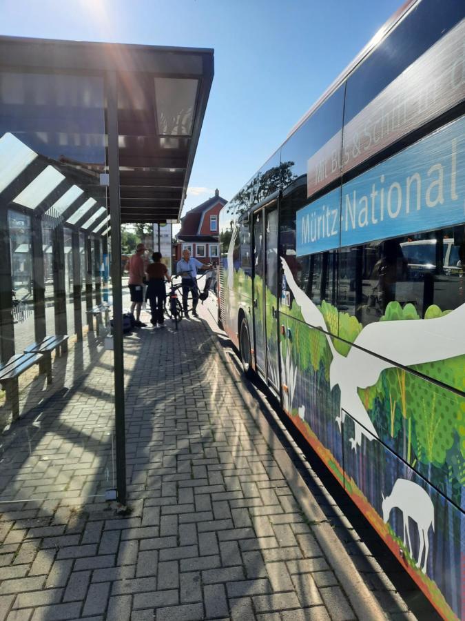 Das Kleine, Gemuetliche Ferienhaus Ludorf Zewnętrze zdjęcie
