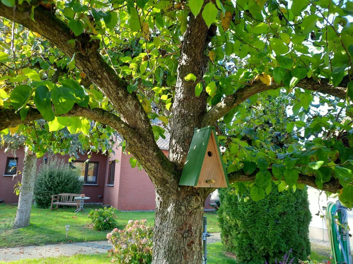 Das Kleine, Gemuetliche Ferienhaus Ludorf Zewnętrze zdjęcie